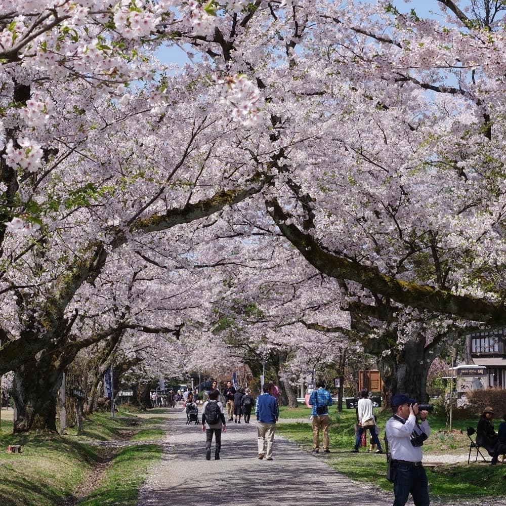 松ヶ岡開墾場