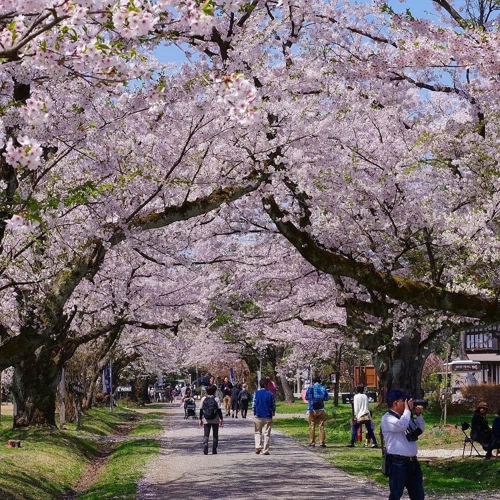 松ヶ岡開墾場
